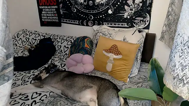 AlienforTwenty online show from 02.26.26