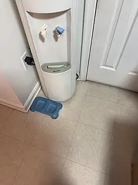 tigre6911 online show from 12.16.25