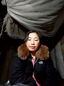 seacyre online show from 01.11.26