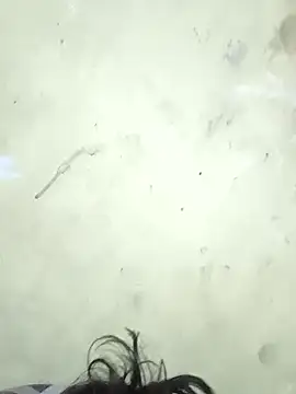 Snapshot of vishalk12346 chatting on 01.08.26 vishalk12346 online show from 01.08.26