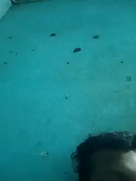 tamilansinsforu online show from 04.30.26