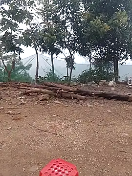 Menlike69 online show from 01.15.26