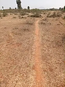 Tamilpaiyan07 online show from 02.09.26