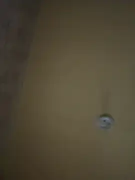 amorasecy online show from 04.17.26