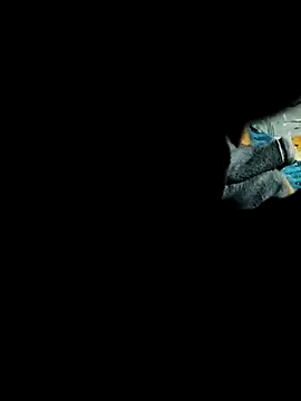 Snapshot of Hot2602 chatting on 02.22.26 Hot2602 online show from 02.22.26