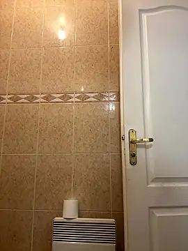 BoMale online show from 01.11.26