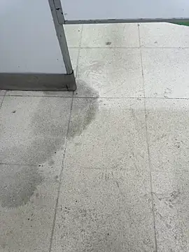 Latin Paisa Boy online show from 04.09.26