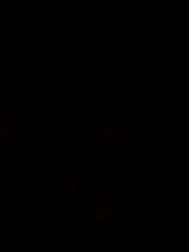 theboyas online show from 03.29.26