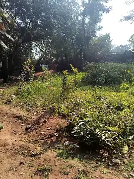 janbi sexe online show from 01.14.26