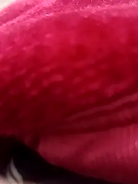 daksh  8 inche online show from 02.07.26