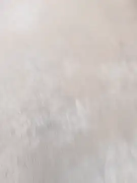 daksh  8 inche online show from 04.07.26