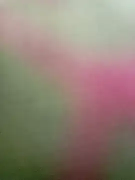 Dariralf online show from 01.16.26