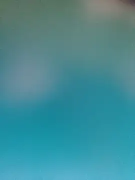 donaaa2 online show from 04.18.26