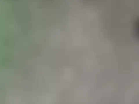 dearornge online show from 03.16.26