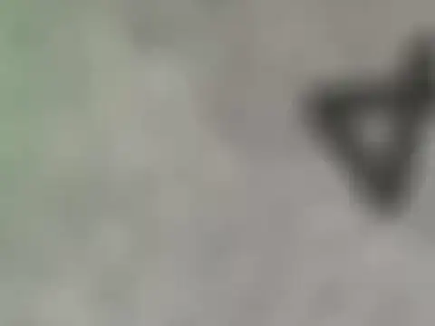 dearornge online show from 03.17.26