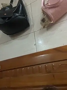 Liness101 online show from 02.04.26