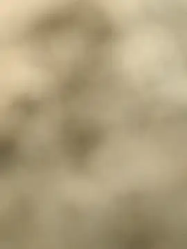 Pagelboy 089 online show from 02.15.26