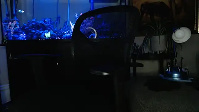 EspanolVato online show from 03.18.26