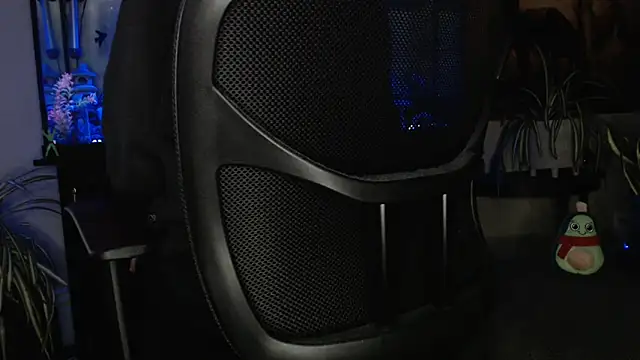 EspanolVato online show from 04.11.26