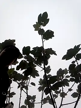 Snapshot of him220 chatting on 03.07.26 him220 online show from 03.07.26