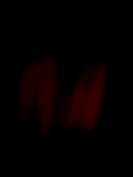 Snapshot of him220 chatting on 04.03.26 him220 online show from 04.03.26