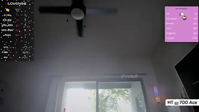 Vesagal online show from 04.16.26