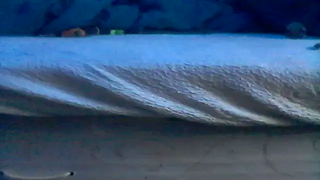 Silencio26 online show from 04.19.26