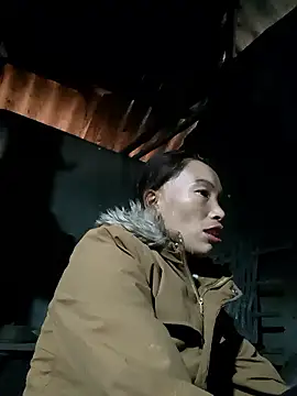 Nllpvp online show from 01.08.26