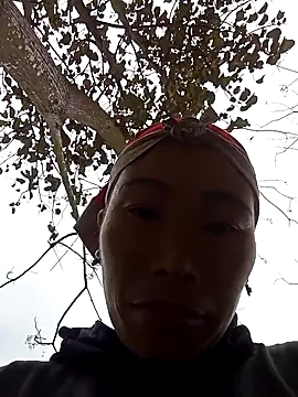 Nllpvp online show from 02.08.26