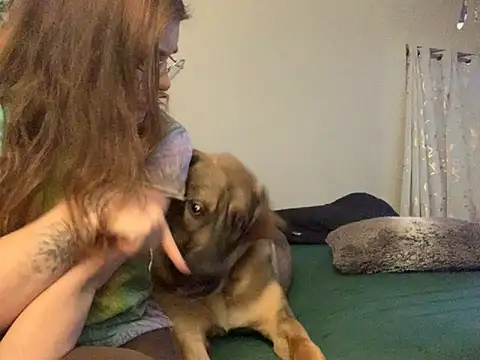 Intothewoodswego online show from 02.22.26