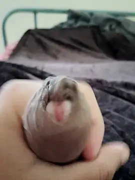 unknownuser96 online show from 01.09.26