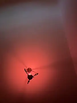 witchdub online show from 02.18.26