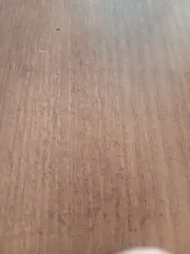 Kmali5465 online show from 02.11.26