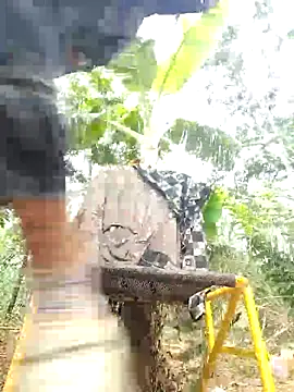 leona118 online show from 04.09.26