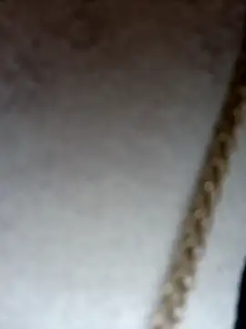 Dante Knox online show from 02.08.26