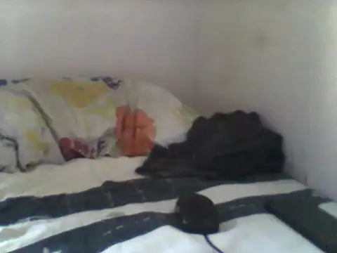 Snapshot of handsomeguy02 chatting on 04.14.26 handsomeguy02 online show from 04.14.26