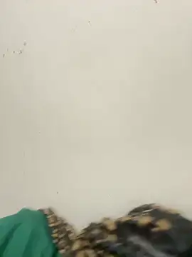 diosa sofia19 online show from 04.06.26