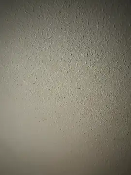 zumma00 online show from 01.17.26