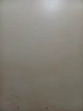 PatriciaVen online show from 02.04.26