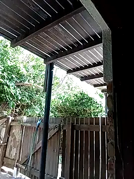 dicklife3485 online show from 02.12.26