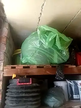 dicklife3485 online show from 03.31.26