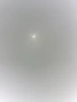 sharck12 35 online show from 01.18.26