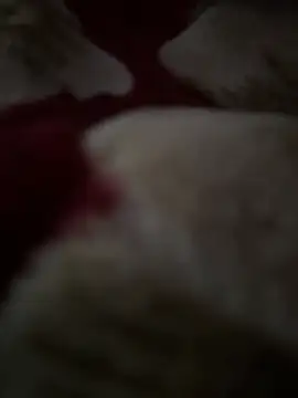 butylek online show from 01.14.26