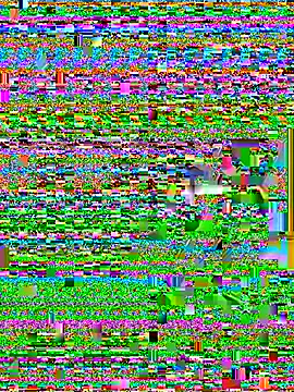 Wicy23 online show from 05.29.26