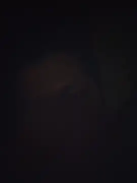 Pravin9562 online show from 03.04.26