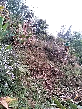 lia-coy online show from 04.15.26