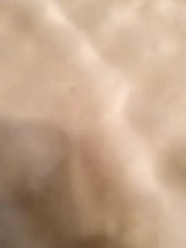 testmailx75 online show from 02.23.26