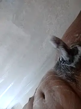 Snapshot of daringprince chatting on 01.17.26 daringprince online show from 01.17.26