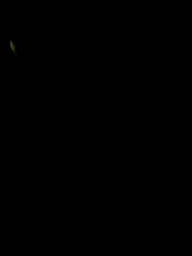 big12phase online show from 03.14.26