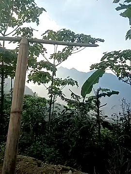 cutebobi online show from 03.30.26